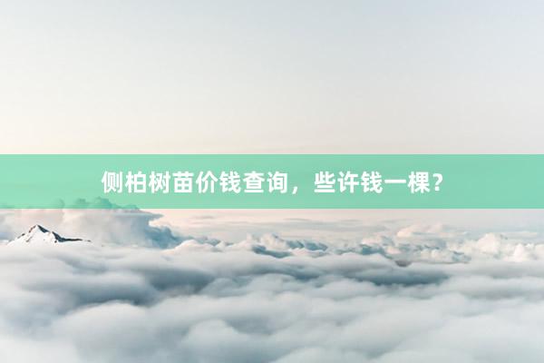 侧柏树苗价钱查询，些许钱一棵？