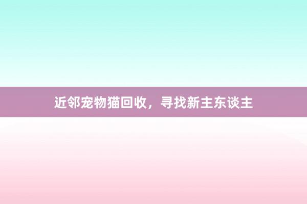 近邻宠物猫回收，寻找新主东谈主