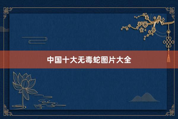 中国十大无毒蛇图片大全