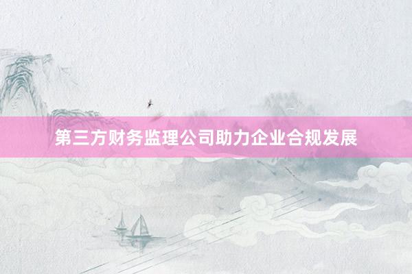 第三方财务监理公司助力企业合规发展
