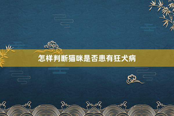 怎样判断猫咪是否患有狂犬病
